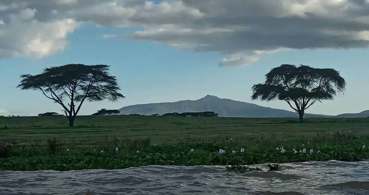Где-то там Килиманджаро