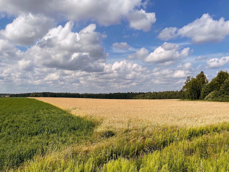 Фотопейзаж - Верейские просторы