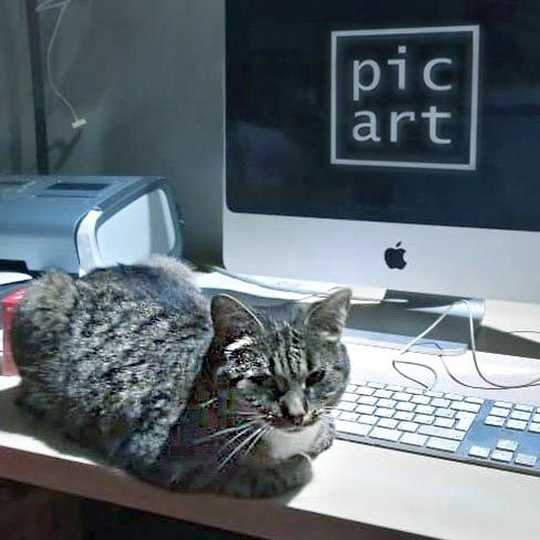 Дизайн, развитие сайта, продвижение