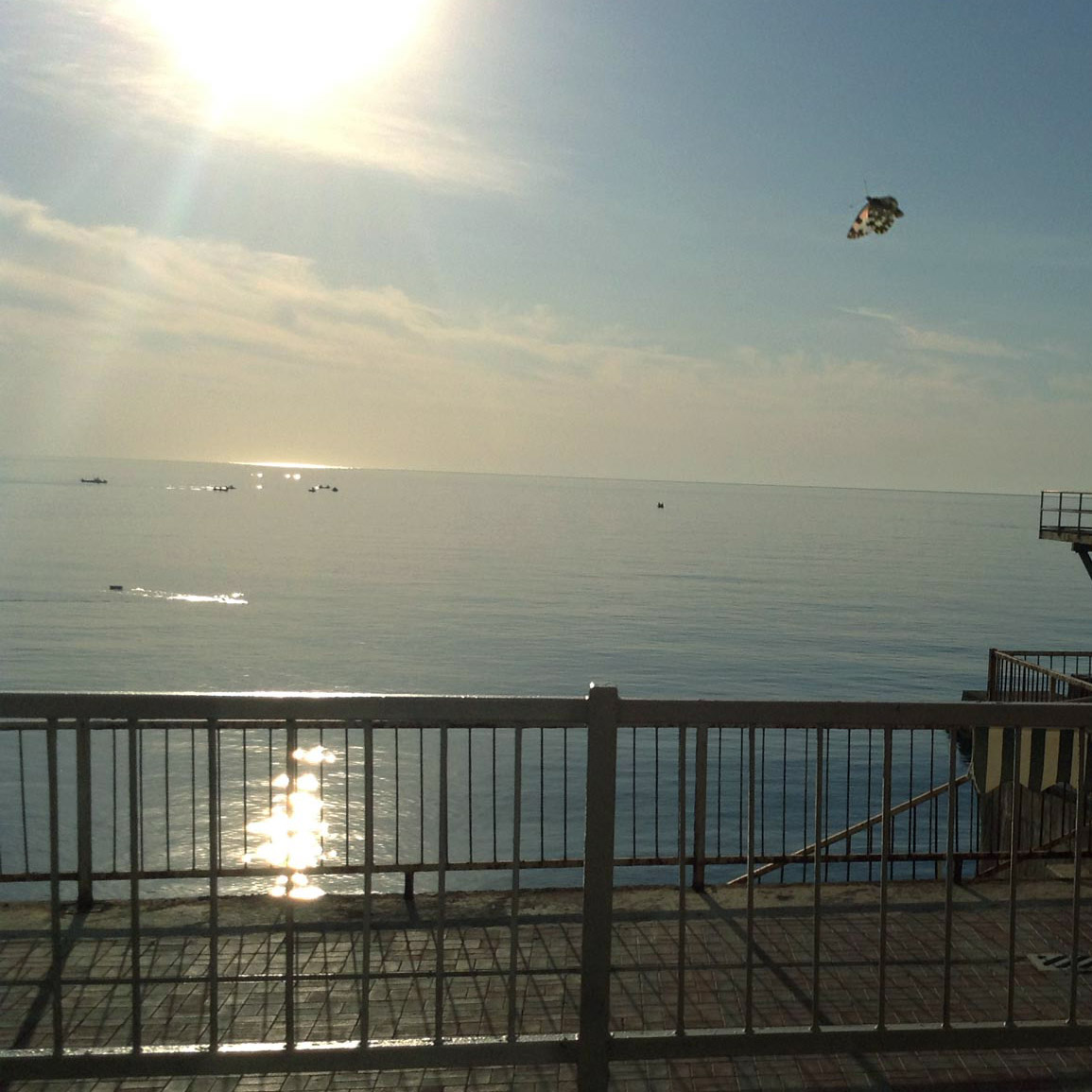 Бабочка летит на солнце