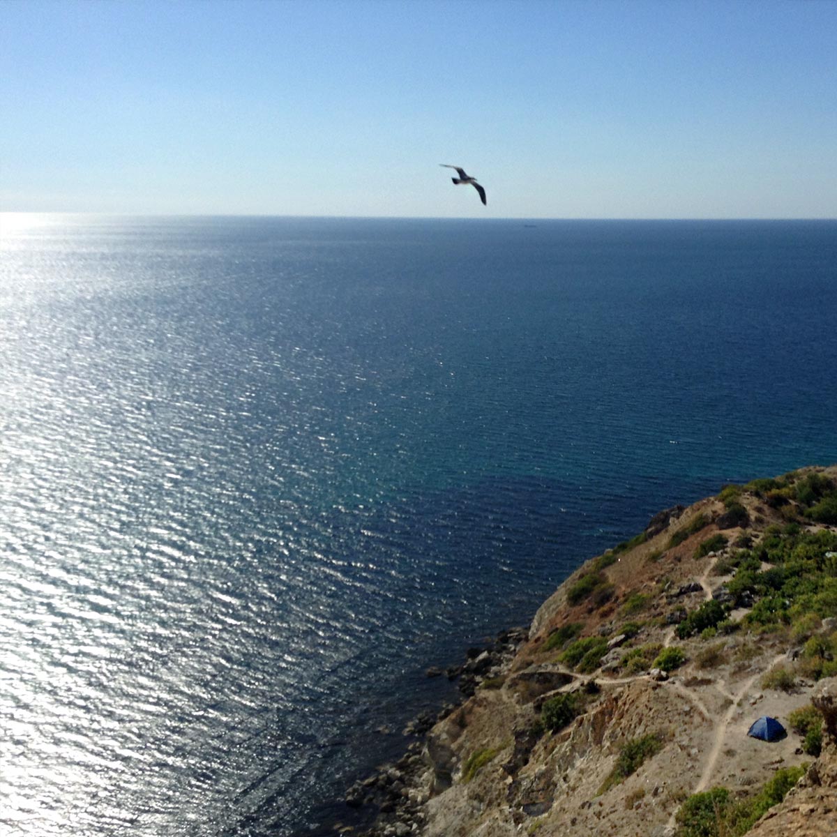 Дикий турист